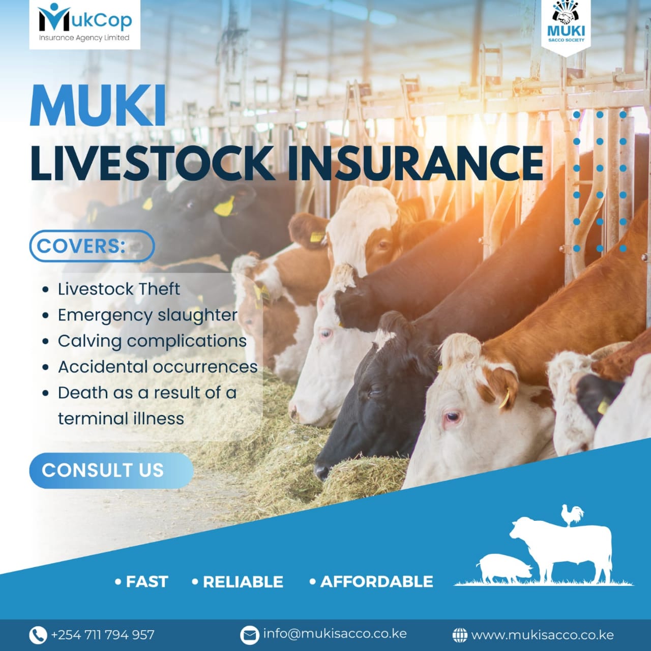livestock insurance